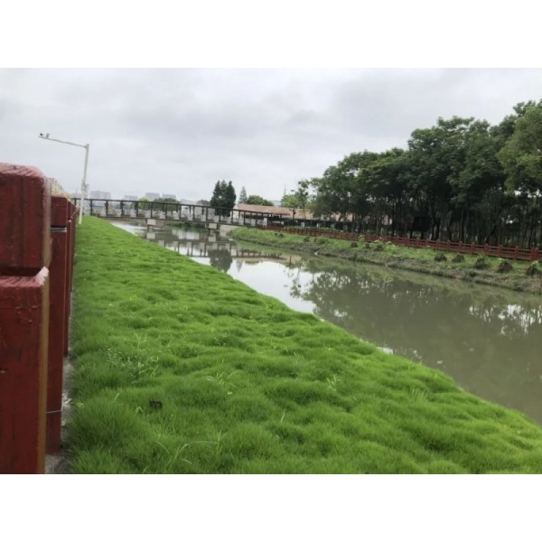 生態(tài)混凝土-綠化混凝土-植生混凝土-